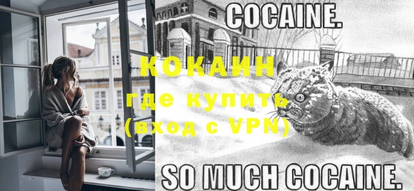 молекула духа Навашино