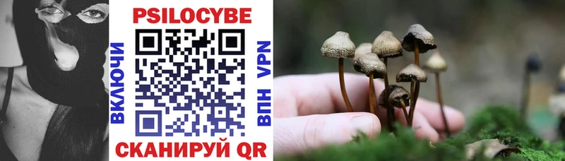 Псилоцибиновые грибы Magic Shrooms  Купить где  Иваново 